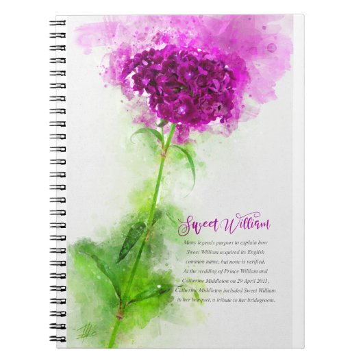 Sweet William Notizblock (Vorderseite)