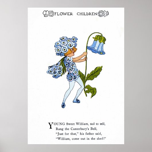 Sweet William Poster (Vorne)