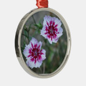 Sweet Williams Silbernes Ornament (Rechts)