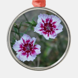 Sweet Williams Silbernes Ornament