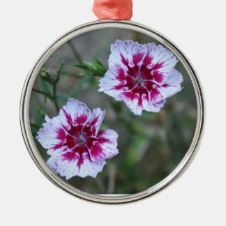 Sweet Williams Silbernes Ornament