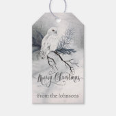 Sweet Winter Owl Weihnachten personalisiert Geschenkanhänger (Vorderseite)