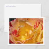 Sweet Yellow Rose Blume Foto Postkarten (Vorne/Hinten)