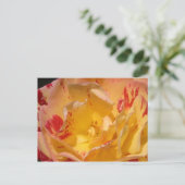 Sweet Yellow Rose Blume Foto Postkarten (Stehend Vorderseite)