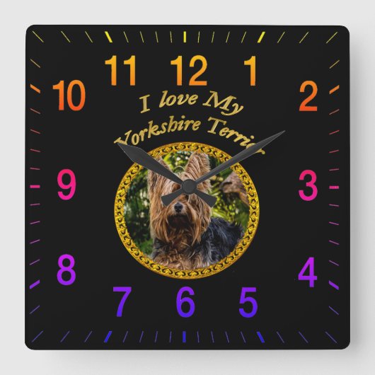 Sweet Yorkshire Terrier Quadratische Wanduhr (Vorderseite)
