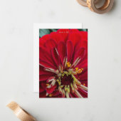 Sweet Zinnia Mitteilungskarte (Vorderseite/Rückseite Beispiel)