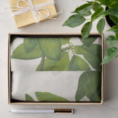 Sweetbay von Mary Vaux Walcott Seidenpapier (Geschenk)