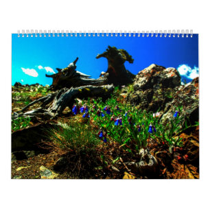 Sweetgrass 2014 Kalender