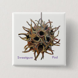 Sweetgum Hülsen-Knopf Button
