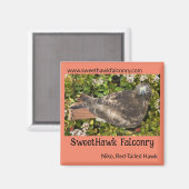 SweetHawk Falconry Niko Red-Tail Hawk 2x2 Magnet (Vorderseite/Rückseite)