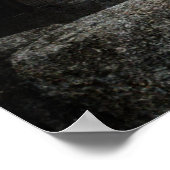 Sweetheart Abbey - Schottland - Poster (Ecke)