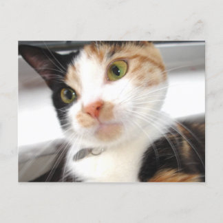 Sweetheart Postkarte