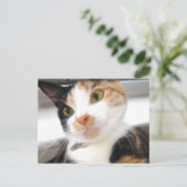 Sweetheart Postkarte (Stehend Vorderseite)