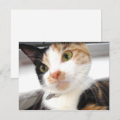 Sweetheart Postkarte (Vorne/Hinten)