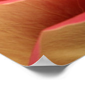 Sweetheart Rose Poster (Ecke)