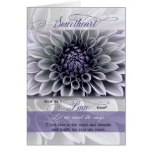 Sweetheart Soft Lavender Blume Romantischer Geburt