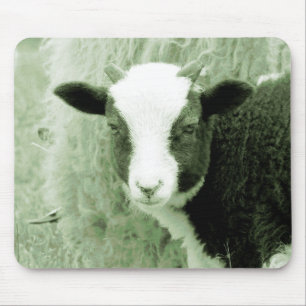Sweetheart's Lamb in grönländischen Tönen Mousepad
