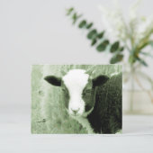 Sweetheart's Lamb in grönländischen Tönen Postkarte (Stehend Vorderseite)
