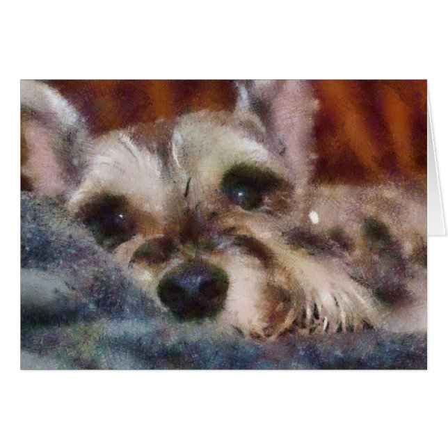 Sweetie (Vorderseite (Horizontal))