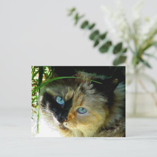 Sweetie Pie Postkarte (Stehend Vorderseite)