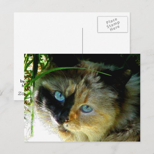 Sweetie Pie Postkarte (Vorne/Hinten)