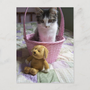 SweetieKitty Postcard Postkarte