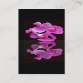 SweetPea Visitenkarte (Rückseite)