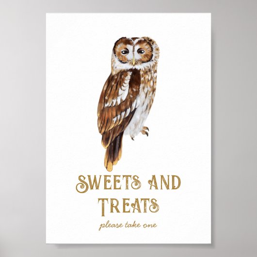 Sweets & Treats Owl Baby Shower Poster (Vorne)