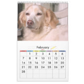 Sweety Doggie 2009 Kalender (Feb 2027)
