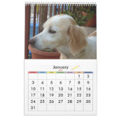 Sweety Doggie 2009 Kalender (Jan 2027)