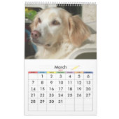 Sweety Doggie 2009 Kalender (Mär 2027)