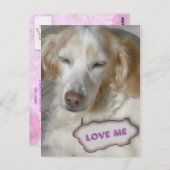 Sweety Postcard Postkarte (Vorne/Hinten)