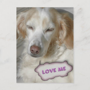 Sweety Postcard Postkarte