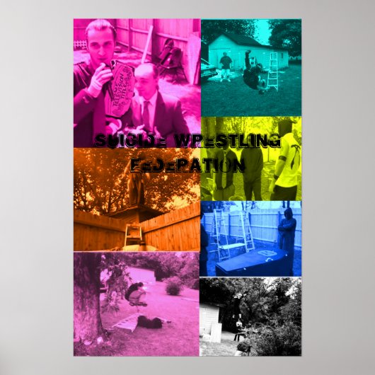 swf muti-color poster (Vorne)