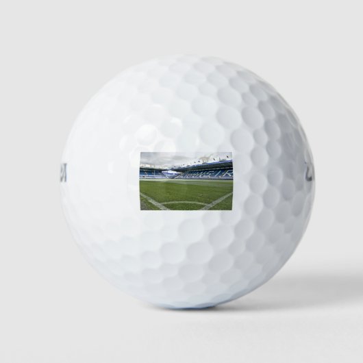 SWFC GOLFBALL (Vorderseite)