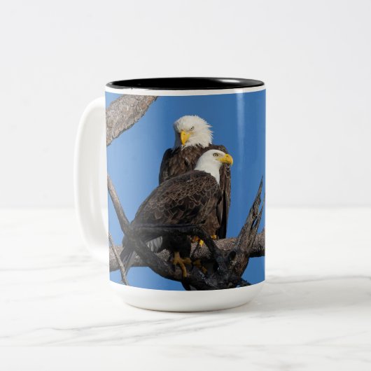 SWFEC - M15 & F23 - Ein neues Paar im Nest Zweifarbige Tasse (Vorderseite Links)