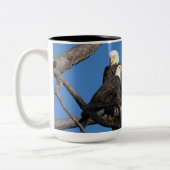 SWFEC - M15 & F23 - Ein neues Paar im Nest Zweifarbige Tasse (Links)