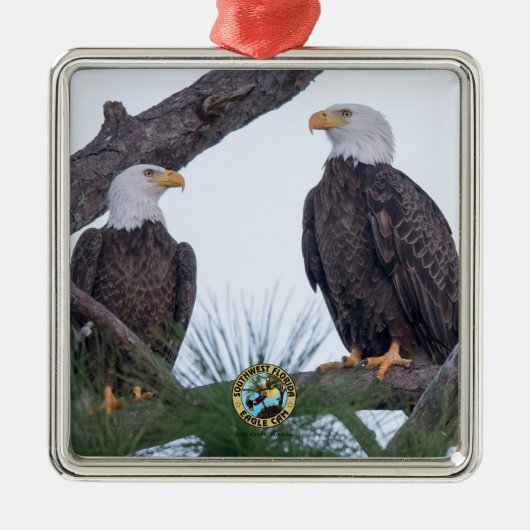 SWFL Eagle Cam Couple Goals Ornament Aus Metall (Vorne)