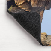 SWFL Eagle Cam Mouse Pad- E22 & Friend Mousepad (Ecke)