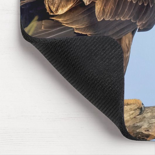 SWFL Eagle Cam Mouse Pad- E22 & Friend Mousepad (Ecke)
