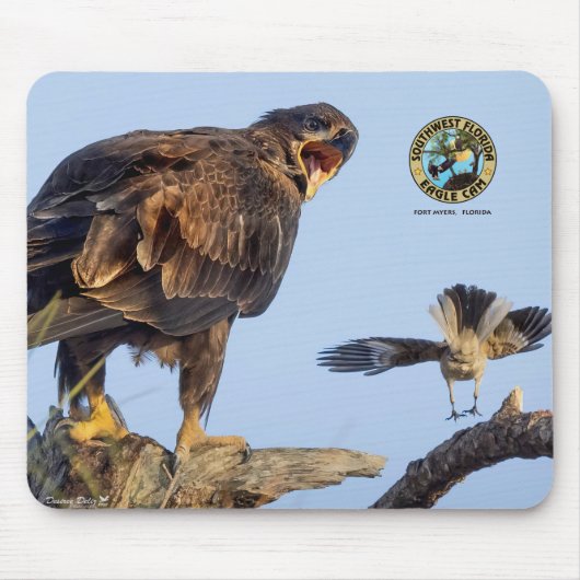 SWFL Eagle Cam Mouse Pad- E22 & Friend Mousepad (Vorne)