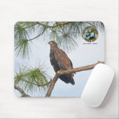 SWFL Eagle Cam Mouse Pad- E23 Mousepad (Mit Mouse)