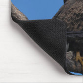 SWFL Eagle Cam Mouse Pad- M15 & F23 Mousepad (Ecke)