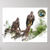 SWFL Eagle Cam Wall Poster (Vorne)