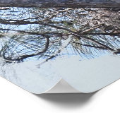 SWFL Family Portrait E12, E13 Harriet und M15 Poster (Ecke)