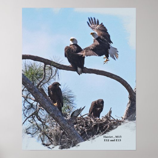 SWFL Family Portrait E12, E13 Harriet und M15 Poster (Vorne)