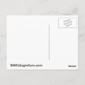 SWFLEagleCam Postkarte (Rückseite)