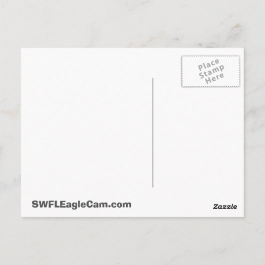 SWFLEagleCam Postkarte (Rückseite)