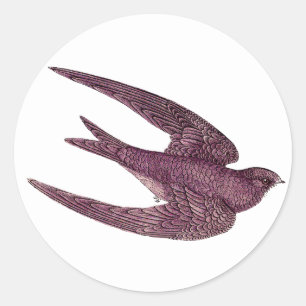 Swift Bird Stickers