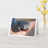 Swift Bird zur Hand Karte (Gelbe Blume)